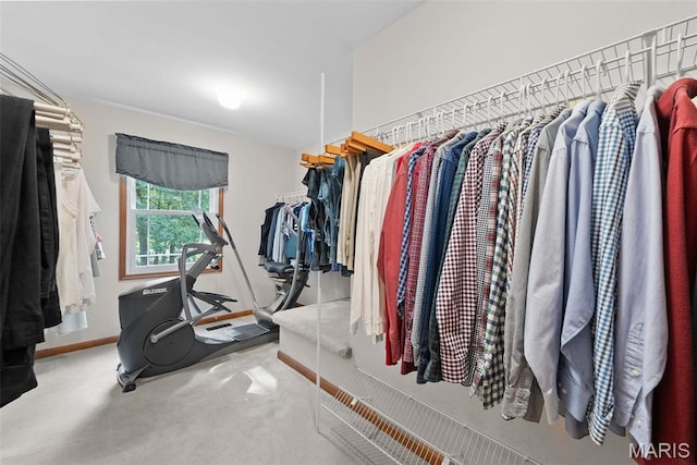spacious closet with carpet floors