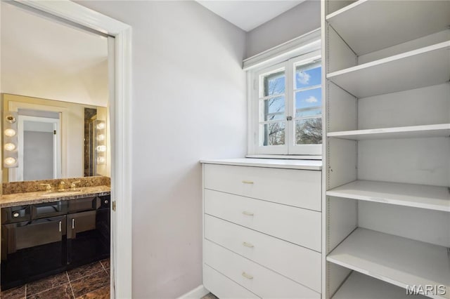 910 Kent Rd, Ladue, MO 63124 - walk in closet with a sink