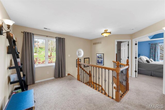 6324 Bluff Forest Dr, Saint Louis, MO 63129 - photo 24