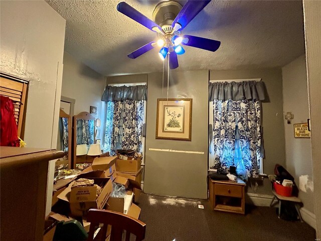 1426 N Newstead Ave, Saint Louis, MO 63113 - miscellaneous room with a ceiling fan, a textured ceiling, and carpet