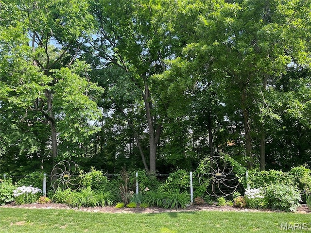 2009 Weber Heights Dr, Washington, MO 63090 - view of grassy yard