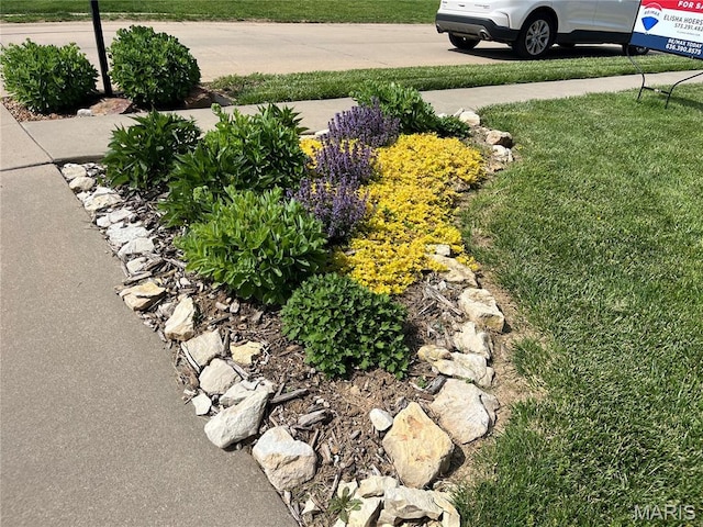 2009 Weber Heights Dr, Washington, MO 63090 - view of grassy yard with driveway