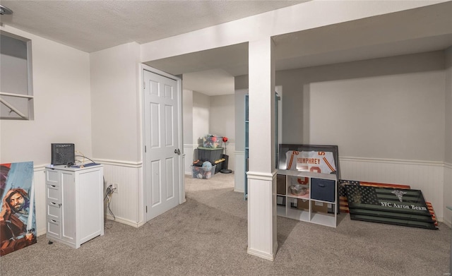 15105 Transit Rd, Saint Robert, MO 65584 - recreation room featuring carpet, wainscoting, and a textured ceiling