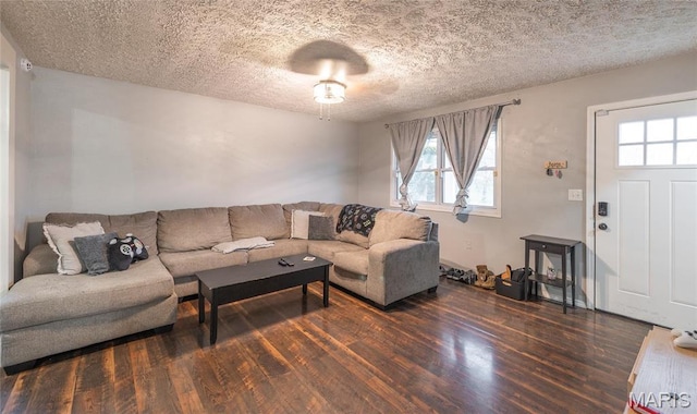15105 Transit Rd, Saint Robert, MO 65584 - living room with wood finished floors, a textured ceiling, and healthy amount of natural light