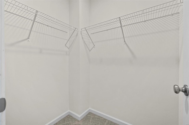 walk in closet with carpet