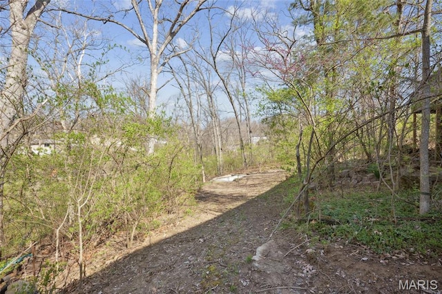 32 Oak Forest Dr, Saint Charles, MO 63303 - view of yard featuring a view of trees