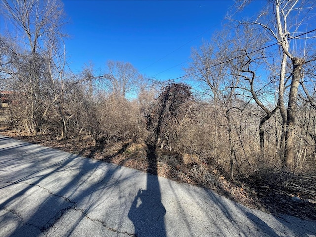 3333 Ketha Cir, Festus, MO 63028