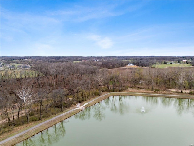 5 Canebrake Ct, Wentzville, MO 63385 - drone / aerial view of a nearby body of water