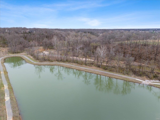 5 Canebrake Ct, Wentzville, MO 63385 - view of pool with a water view