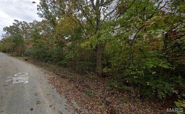 9482 James Dr, French Village, MO 63036 - photo 6