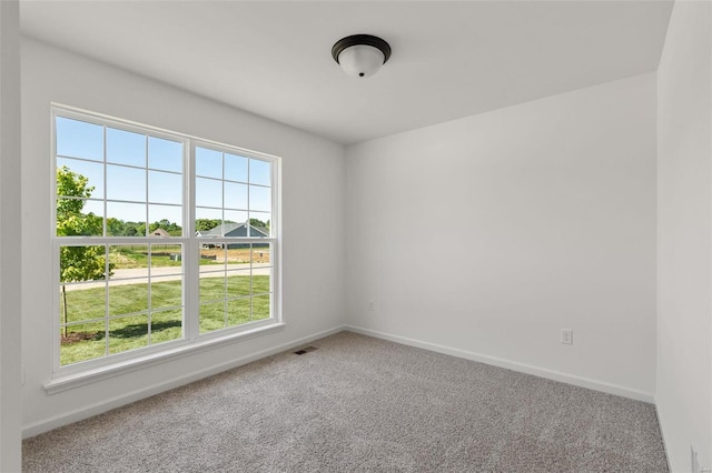 1012 Braid Trail Dr, Union, MO 63084 - spare room featuring plenty of natural light, carpet floors, and baseboards