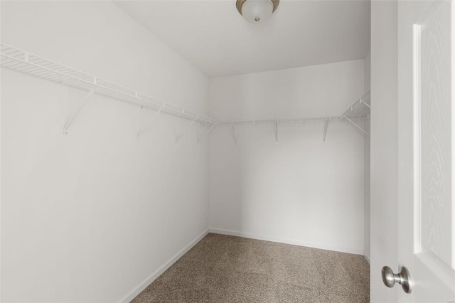 5048 Knotty Alder Dr, Imperial, MO 63052 - spacious closet featuring carpet