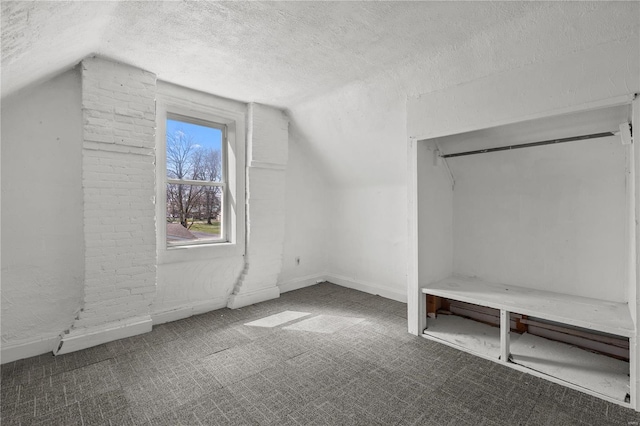 407 N Humboldt St, Marine, IL 62061 - bonus room with vaulted ceiling, a textured ceiling, carpet, and baseboards