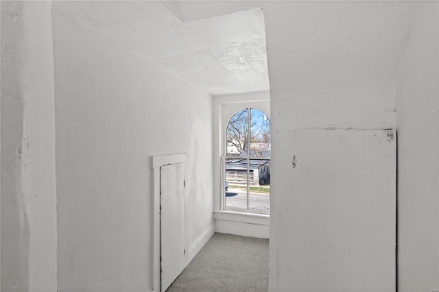 407 N Humboldt St, Marine, IL 62061 - interior space with carpet and a textured ceiling