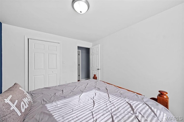 140 Shumard Oak Dr, Troy, MO 63379 - bedroom featuring a closet