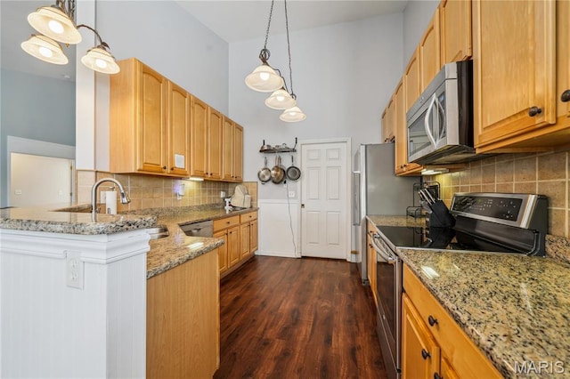 910 Ridgepointe Place Cir, Lake St Louis, MO 63367 - kitchen featuring stainless steel appliances, a sink, dark wood finished floors, and light stone counters