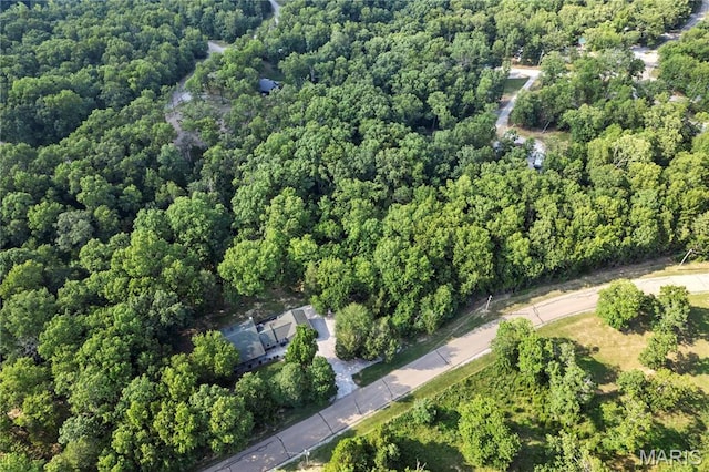 5057 Port Perry Dr, Perryville, MO 63775 - view of property location featuring a forest