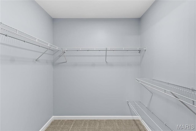 3524 Espace Ct, Florissant, MO 63034 - spacious closet with carpet