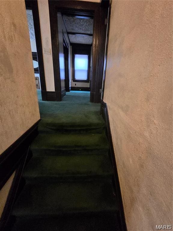 Listing photo 9 - caption unavailable