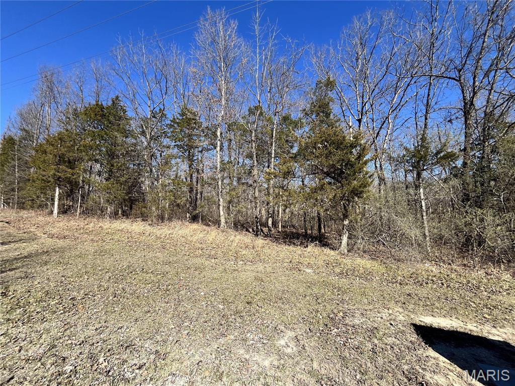 5 Pinnacle Lake Rd, New Florence, MO 63363 - photo 1