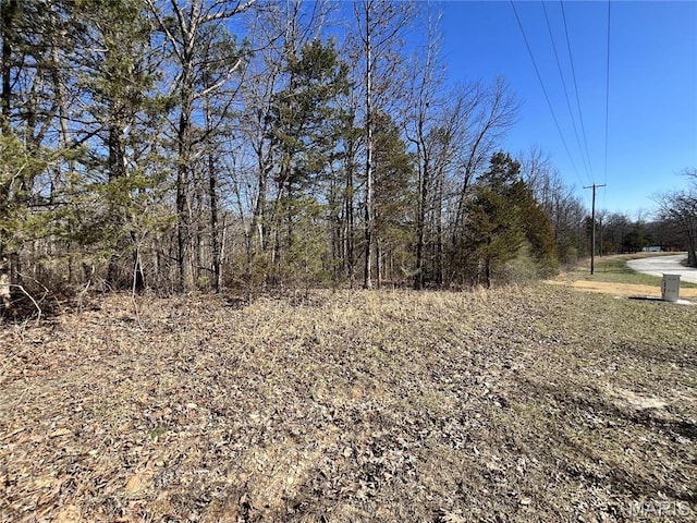 5 Pinnacle Lake Rd, New Florence, MO 63363 - photo 2