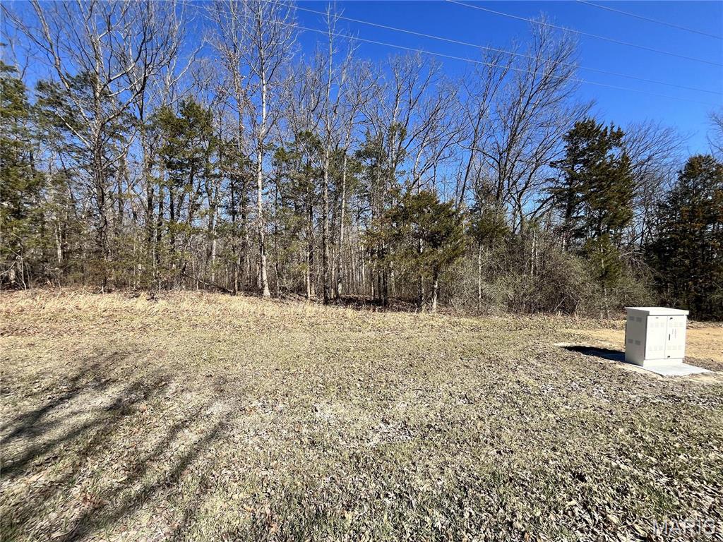 5 Pinnacle Lake Rd, New Florence, MO 63363 - photo 3