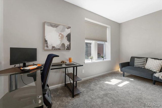 3618 Mcree Ave, Saint Louis, MO 63110 - office space with carpet and baseboards