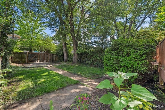 3618 Mcree Ave, Saint Louis, MO 63110 - view of yard