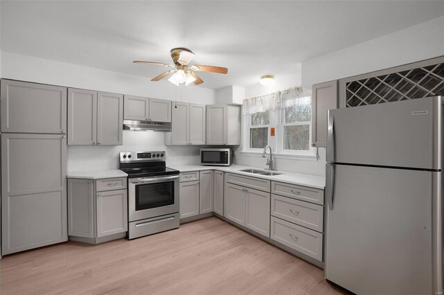 1163 Peace Valley Ln, Hermann, MO 65041 - kitchen with appliances with stainless steel finishes, a sink, under cabinet range hood, gray cabinetry, and ceiling fan