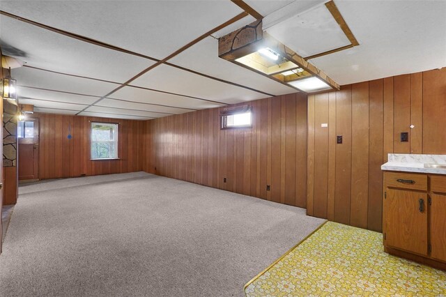 1163 Peace Valley Ln, Hermann, MO 65041 - below grade area with healthy amount of natural light, light colored carpet, and wood walls