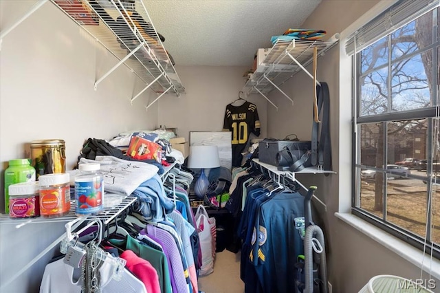 92 Waters Edge Ct Unit 15-2B, Four Seasons, MO 65049 - view of walk in closet