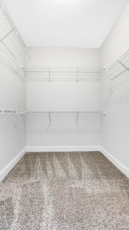 149 Haven Ridge Ct, Dardenne Prairie, MO 63368 - spacious closet with carpet floors