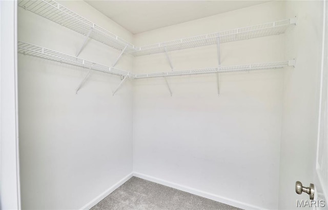 460 Fortress Ct, Saint Charles, MO 63303 - spacious closet with carpet