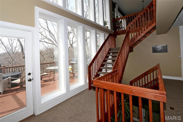 589 Wetherby Terrace Dr, Ballwin, MO 63021 - stairs featuring carpet, baseboards, and a high ceiling