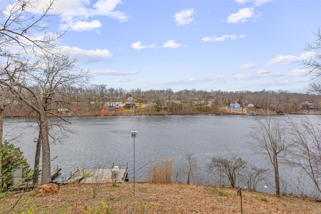 9449 E Lake View Dr, Bonne Terre, MO 63628 - water view