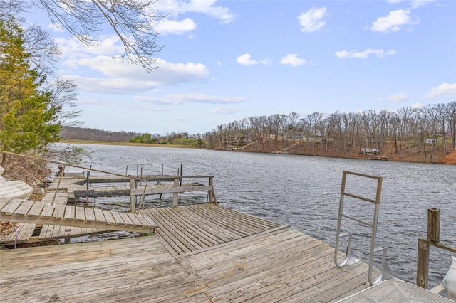 9449 E Lake View Dr, Bonne Terre, MO 63628 - dock with a water view