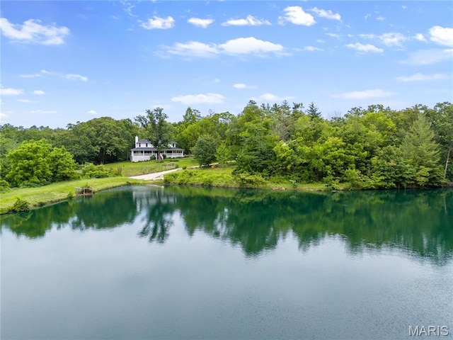 3724 Nadler Rd, Mo, MO 63385 - water view with a forest