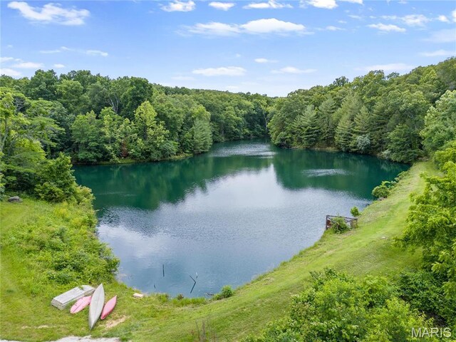 3724 Nadler Rd, Mo, MO 63385 - water view featuring a forest