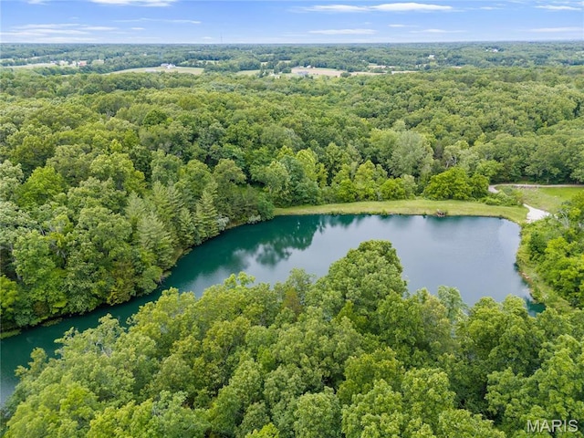 3724 Nadler Rd, Mo, MO 63385 - drone / aerial view of a large body of water and a heavily wooded area