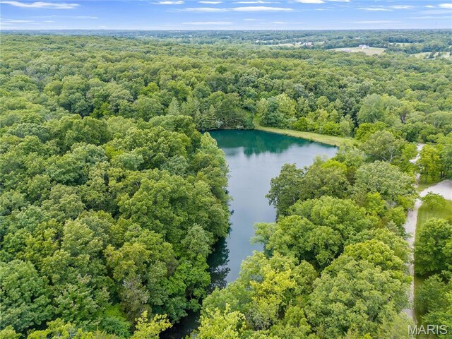 3724 Nadler Rd, Mo, MO 63385 - bird's eye view of a heavily wooded area and a nearby body of water
