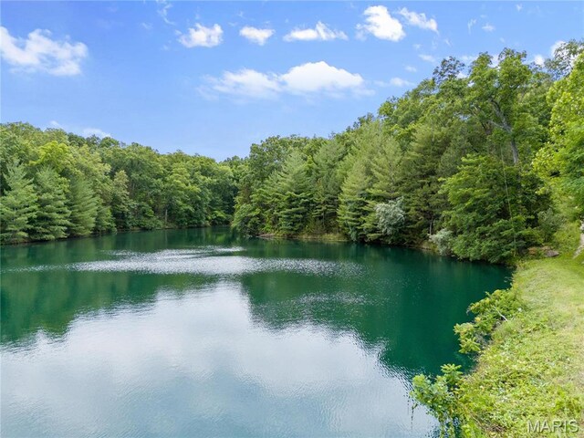 3724 Nadler Rd, Mo, MO 63385 - water view featuring a heavily wooded area