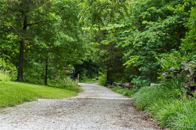 3724 Nadler Rd, Mo, MO 63385 - view of street