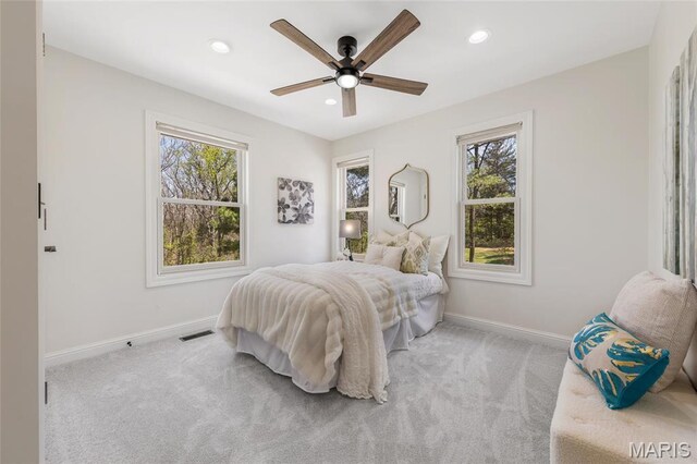 3724 Nadler Rd, Mo, MO 63385 - bedroom with multiple windows, baseboards, carpet floors, and recessed lighting