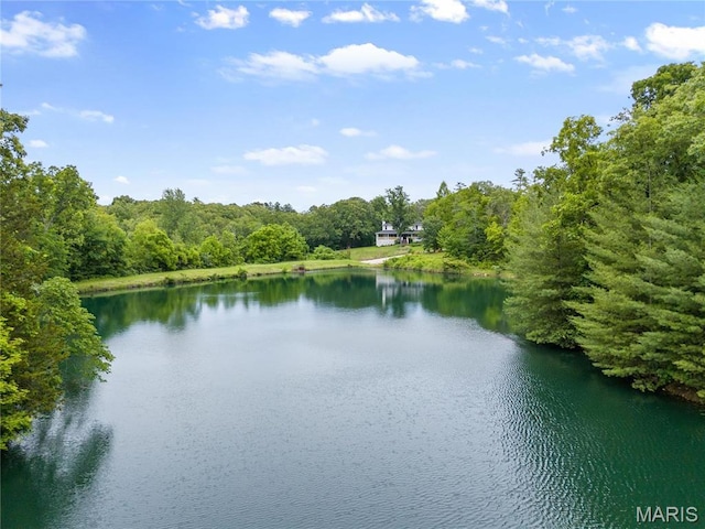 3724 Nadler Rd, Mo, MO 63385 - water view featuring a heavily wooded area