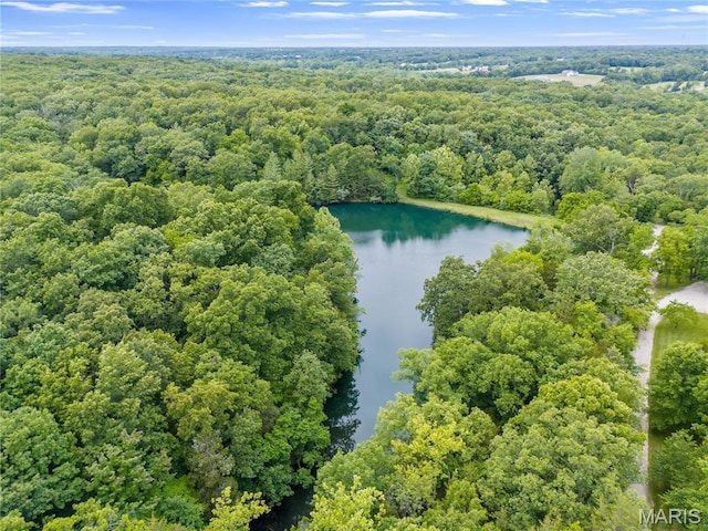 3724 Nadler Rd, Mo, MO 63385 - aerial view of a forest and a large body of water