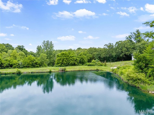 3724 Nadler Rd, Mo, MO 63385 - water view featuring a forest