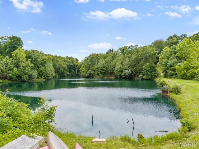 3724 Nadler Rd, Mo, MO 63385 - water view with a forest