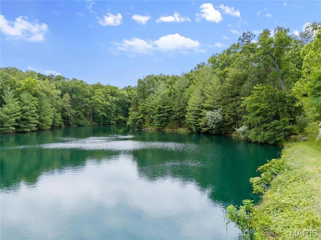 3724 Nadler Rd, Mo, MO 63385 - water view with a forest