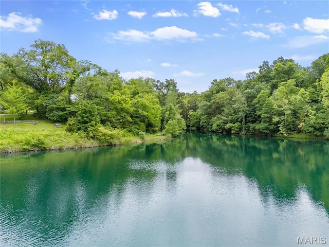 3724 Nadler Rd, Mo, MO 63385 - water view featuring a heavily wooded area