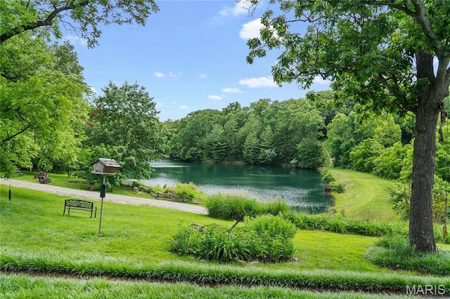 3724 Nadler Rd, Mo, MO 63385 - view of community with a water view, a wooded view, and a yard